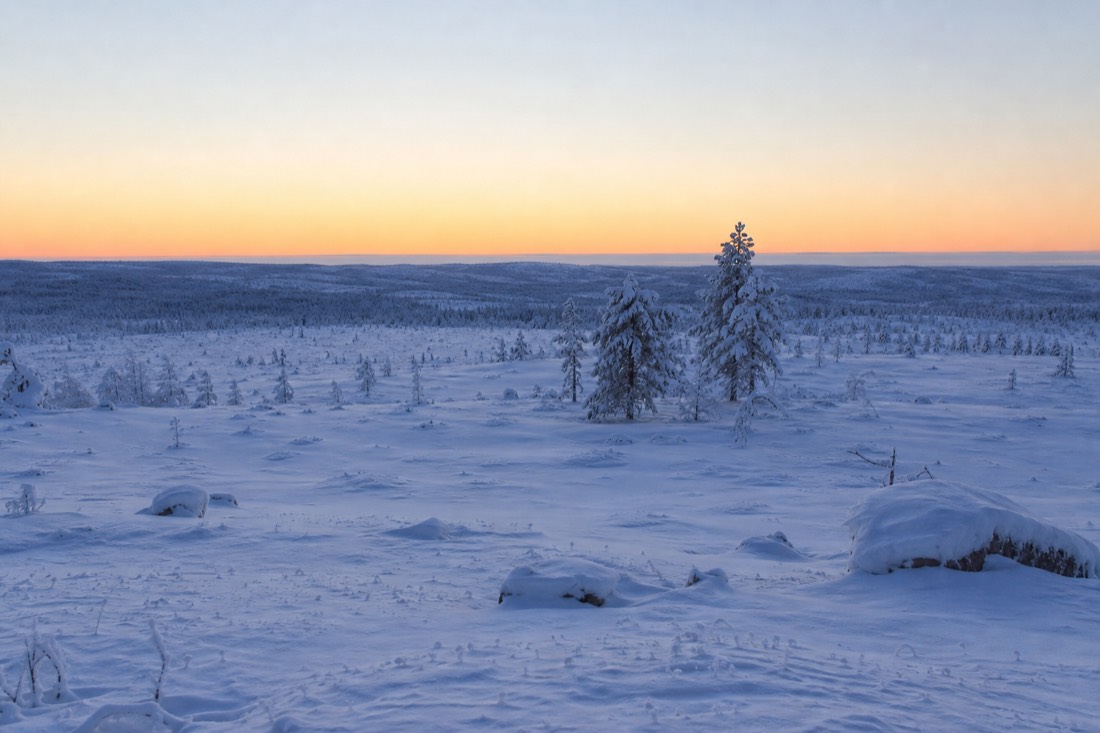 Snow-covered Finnish Lapland landscape in natural winter light