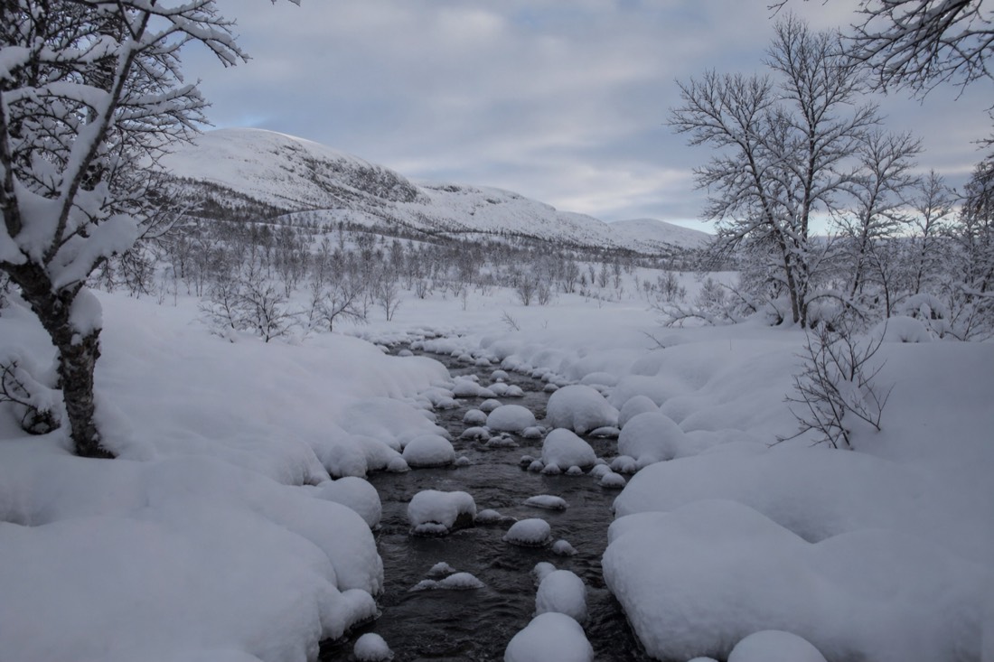 Snow-covered Finnish Lapland landscape in natural winter light