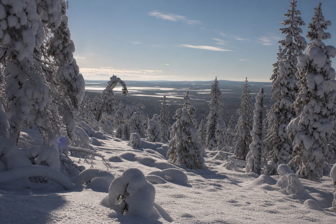 Snow-covered Finnish Lapland landscape in natural winter light