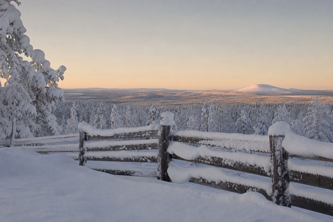Snow-covered Finnish Lapland landscape in natural winter light