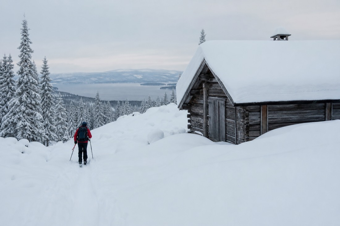 Snow-covered Finnish Lapland landscape in natural winter light