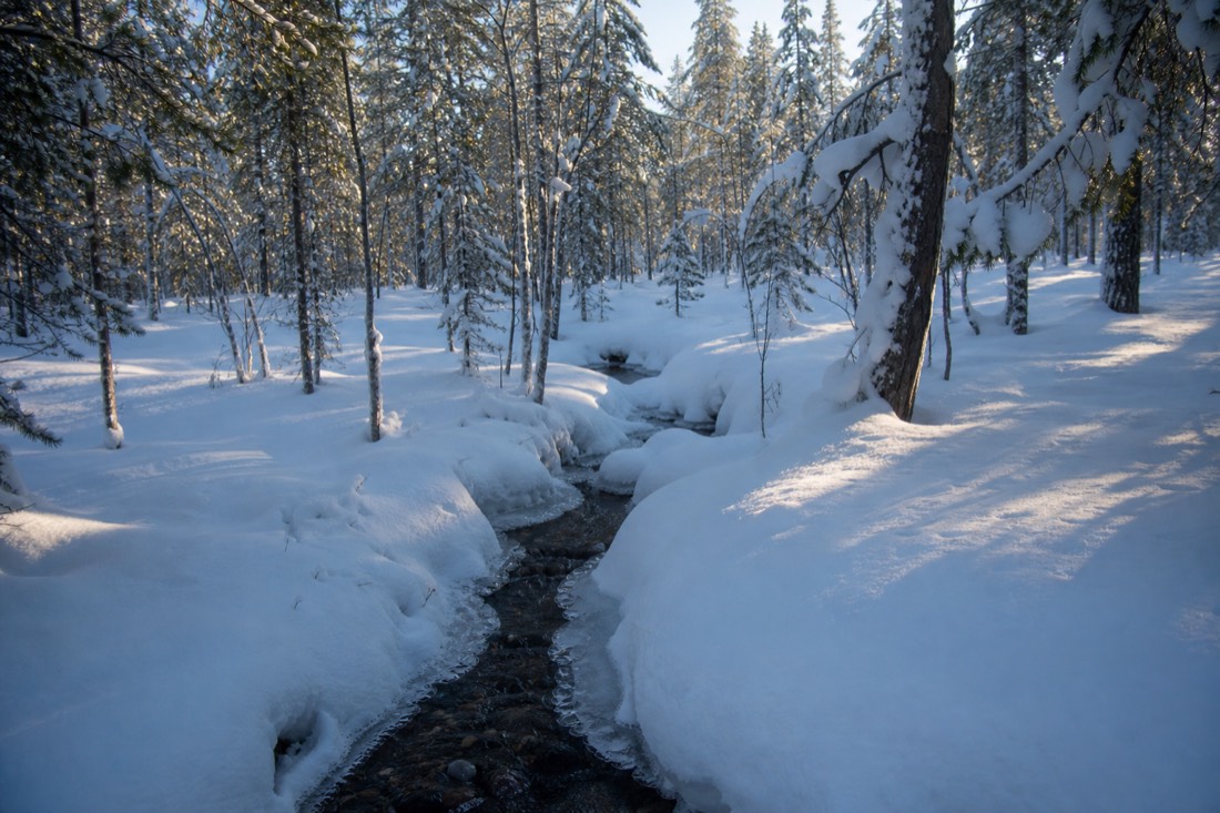 Snow-covered Finnish Lapland landscape in natural winter light