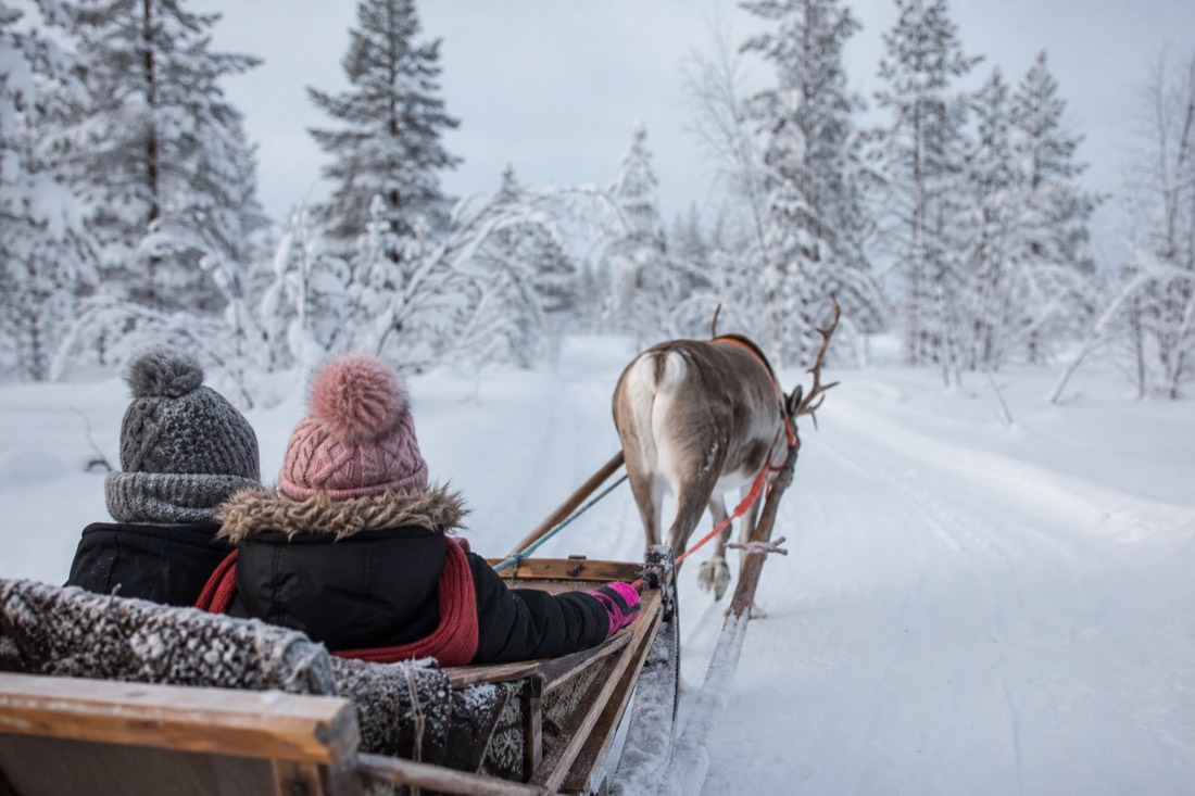 Snow-covered Finnish Lapland landscape in natural winter light