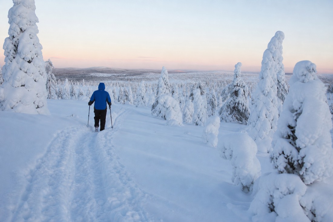 Snow-covered Finnish Lapland landscape in natural winter light