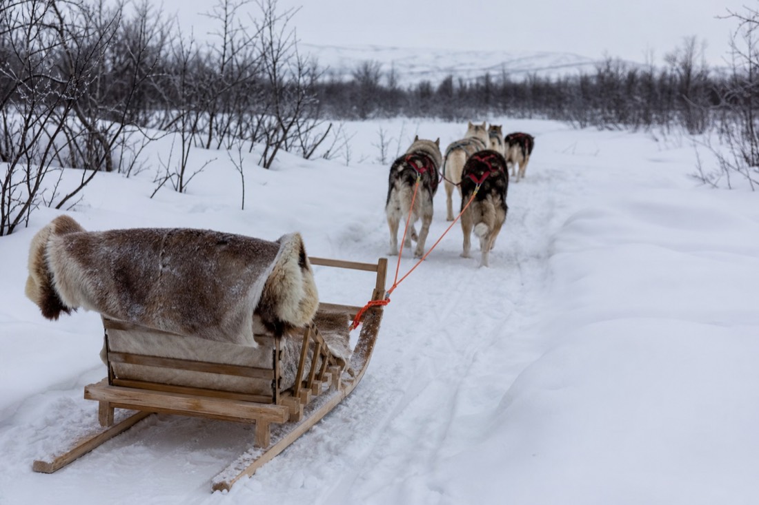 Snow-covered Finnish Lapland landscape in natural winter light