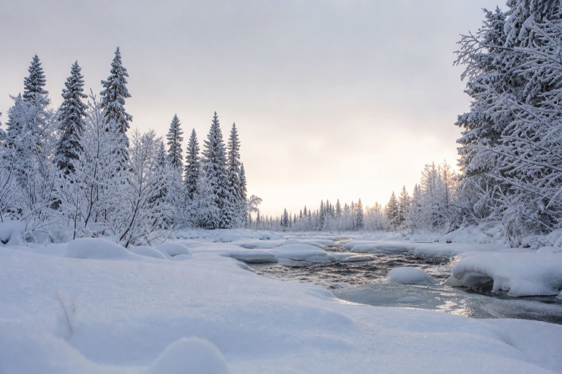 Snow-covered Finnish Lapland landscape in natural winter light