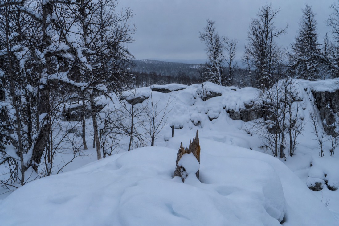 Snow-covered Finnish Lapland landscape in natural winter light