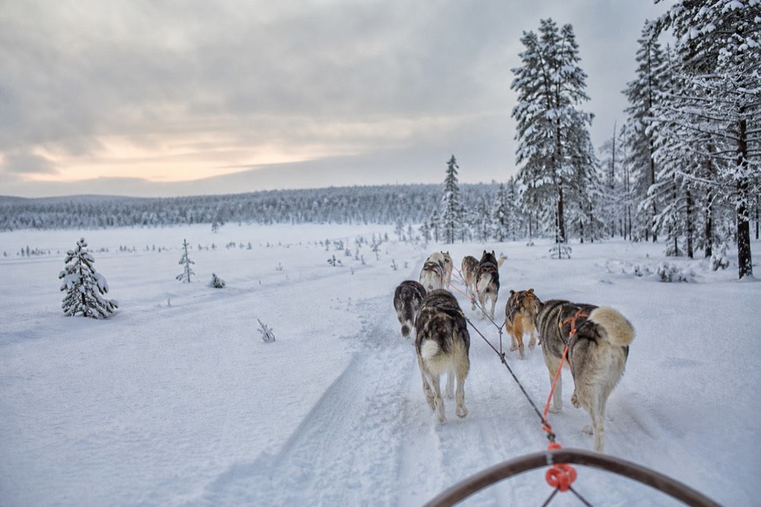 Snow-covered Finnish Lapland landscape in natural winter light
