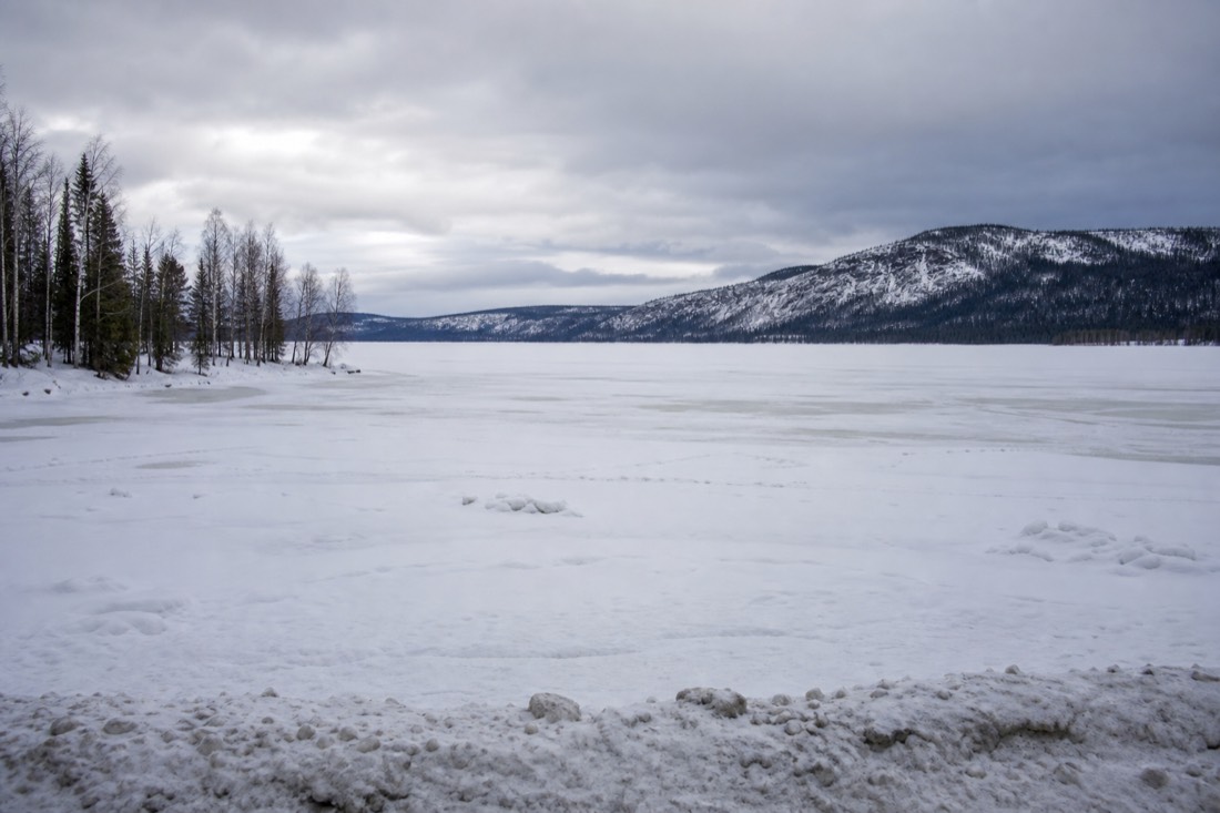 Snow-covered Finnish Lapland landscape in natural winter light