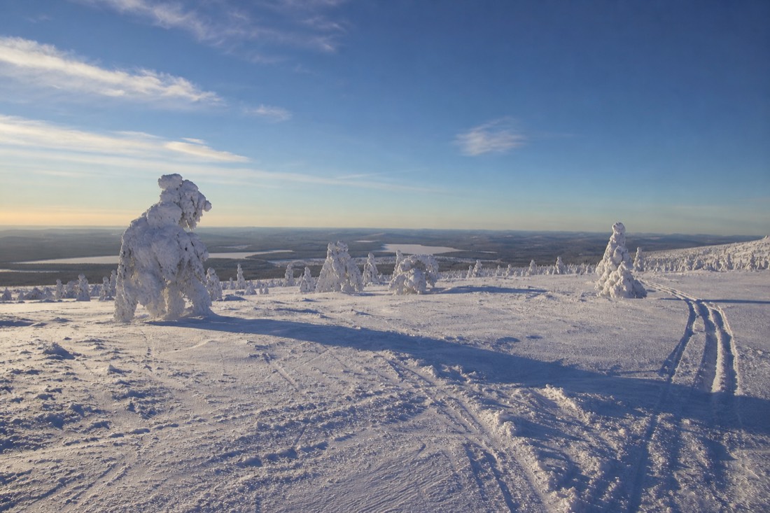 Snow-covered Finnish Lapland landscape in natural winter light