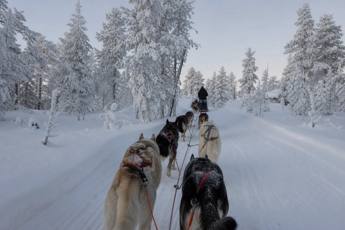 Snow-covered Finnish Lapland landscape in natural winter light