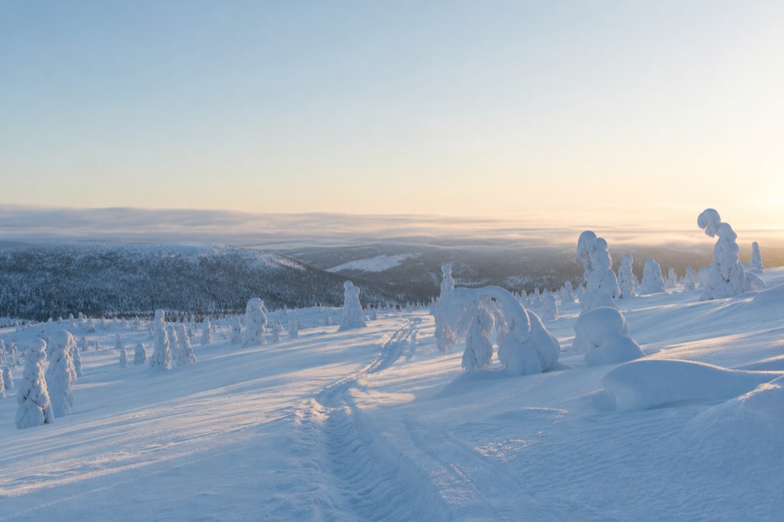 Snow-covered Finnish Lapland landscape in natural winter light