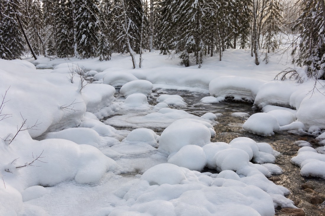 Snow-covered Finnish Lapland landscape in natural winter light