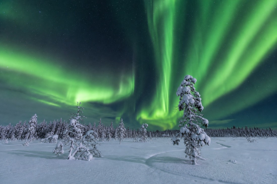 A radiant green aurora borealis dancing over a pristine snowy Lapland wilderness, untouched snow fields, distant forest line