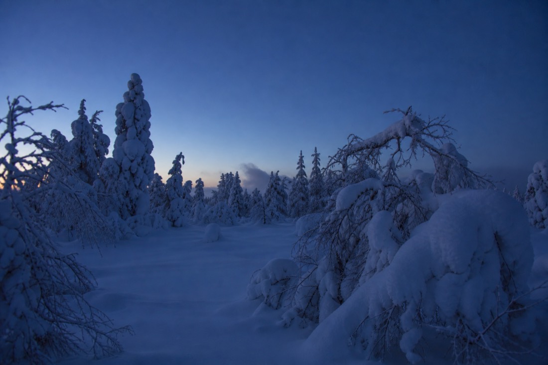 Snow-covered Finnish Lapland landscape in natural winter light