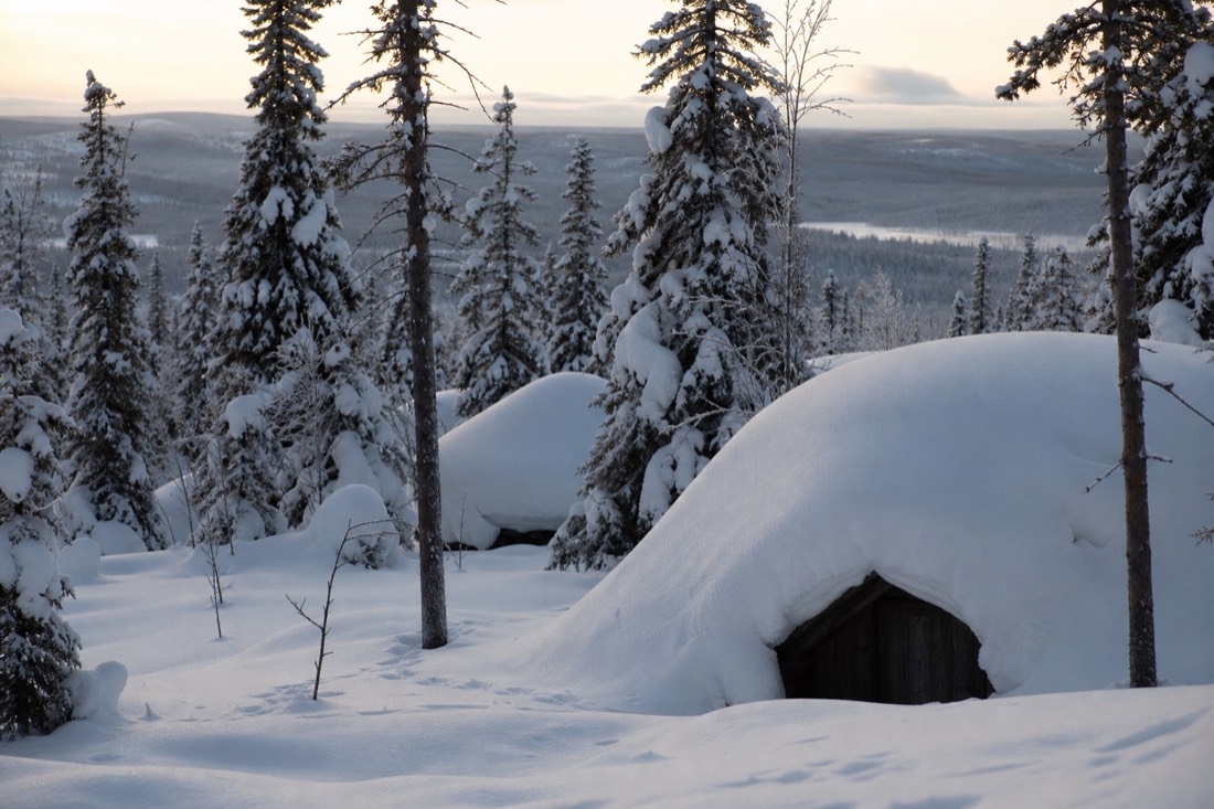 Snow-covered Finnish Lapland landscape in natural winter light