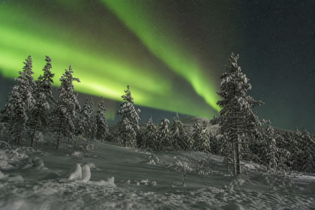 Snow-covered Finnish Lapland landscape in natural winter light