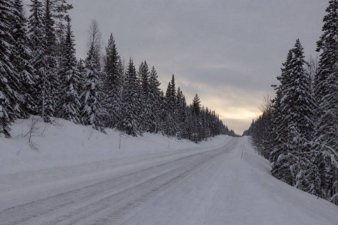 Snow-covered Finnish Lapland landscape in natural winter light