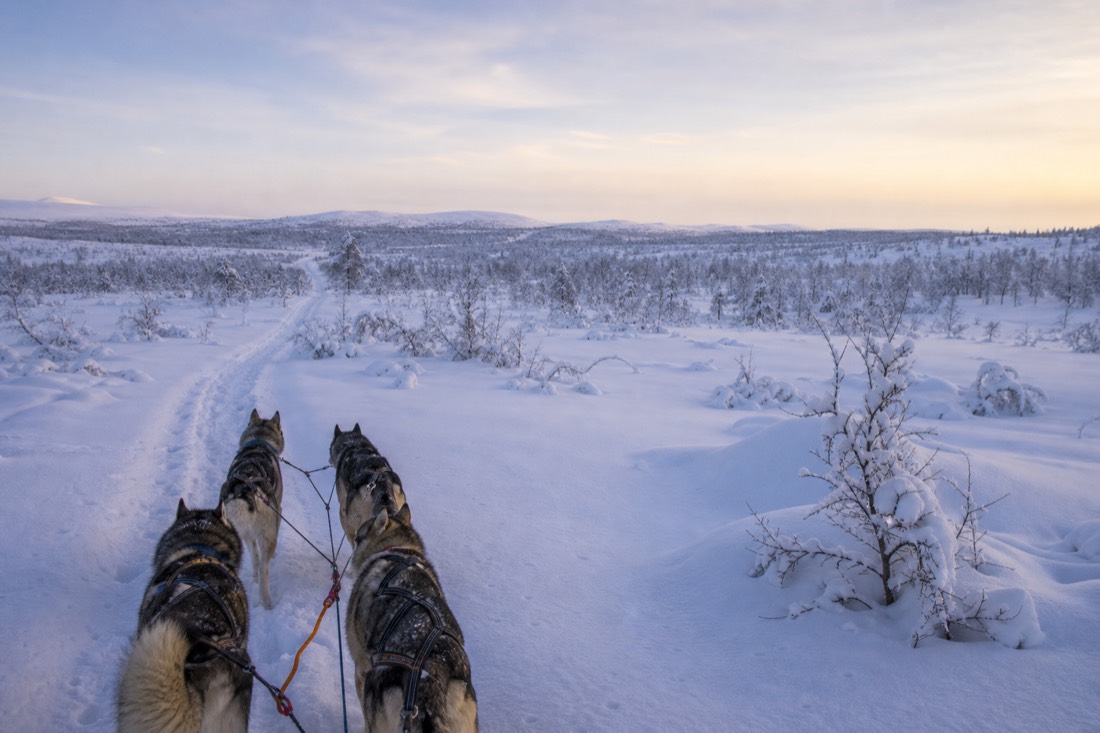 Snow-covered Finnish Lapland landscape in natural winter light