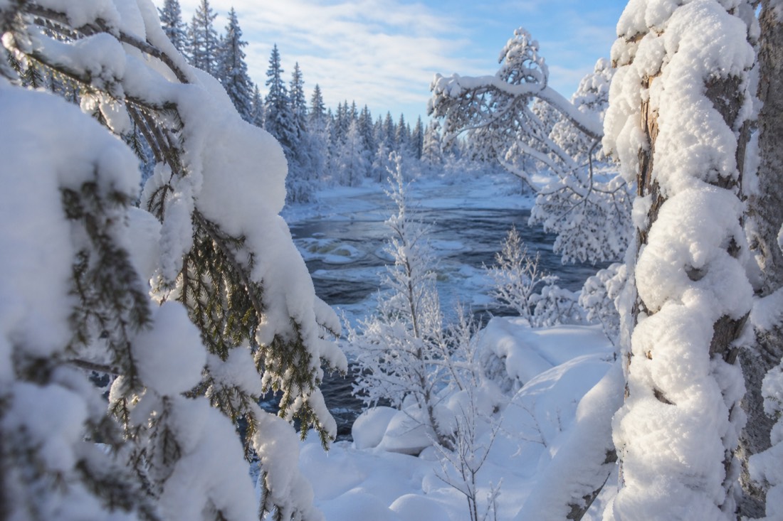 Snow-covered Finnish Lapland landscape in natural winter light