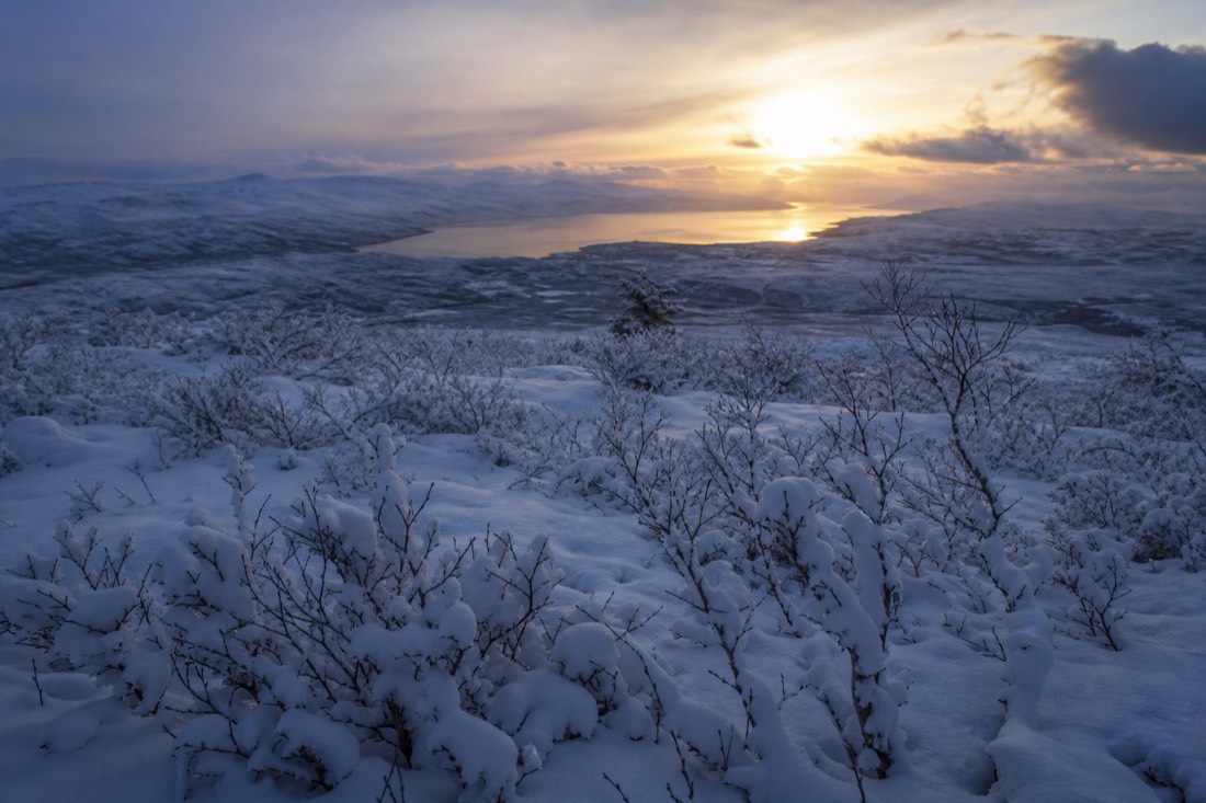 Snow-covered Finnish Lapland landscape in natural winter light