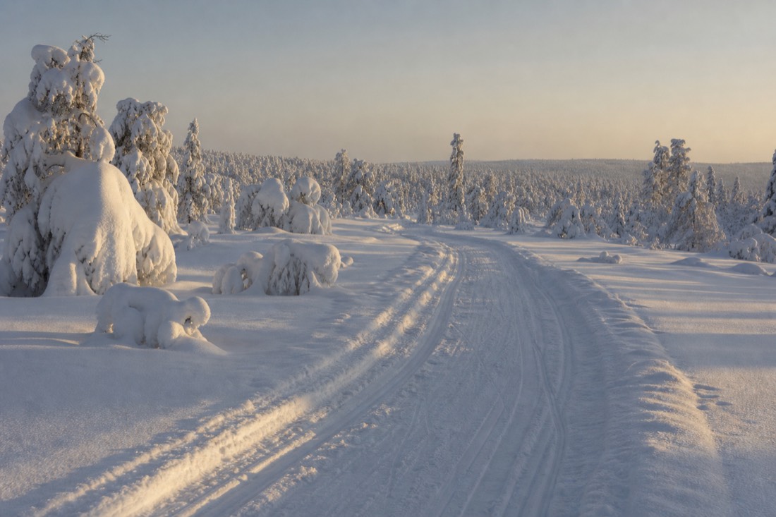 Schneebedeckte Landschaft von Finnisch-Lappland im natürlichen Winterlicht