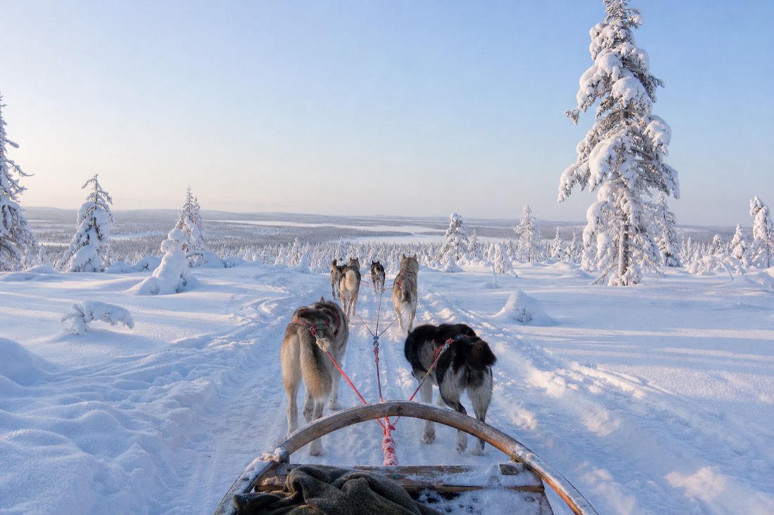 Snow-covered Finnish Lapland landscape in natural winter light