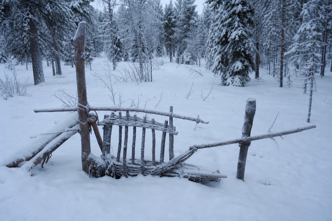 Paesaggio invernale della Lapponia finlandese coperto di neve sotto la luce naturale