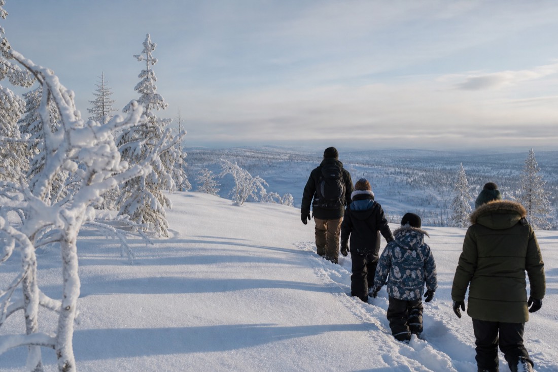 Paesaggio invernale della Lapponia finlandese coperto di neve sotto la luce naturale