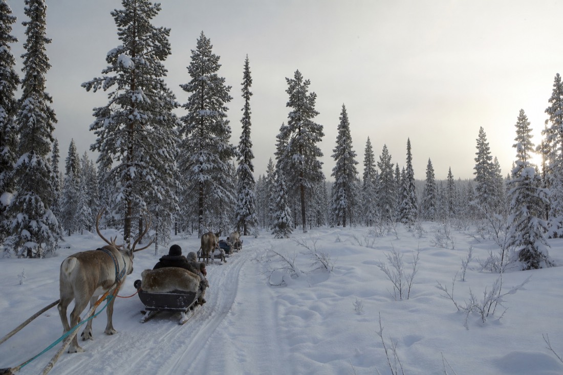Paesaggio invernale della Lapponia finlandese coperto di neve sotto la luce naturale