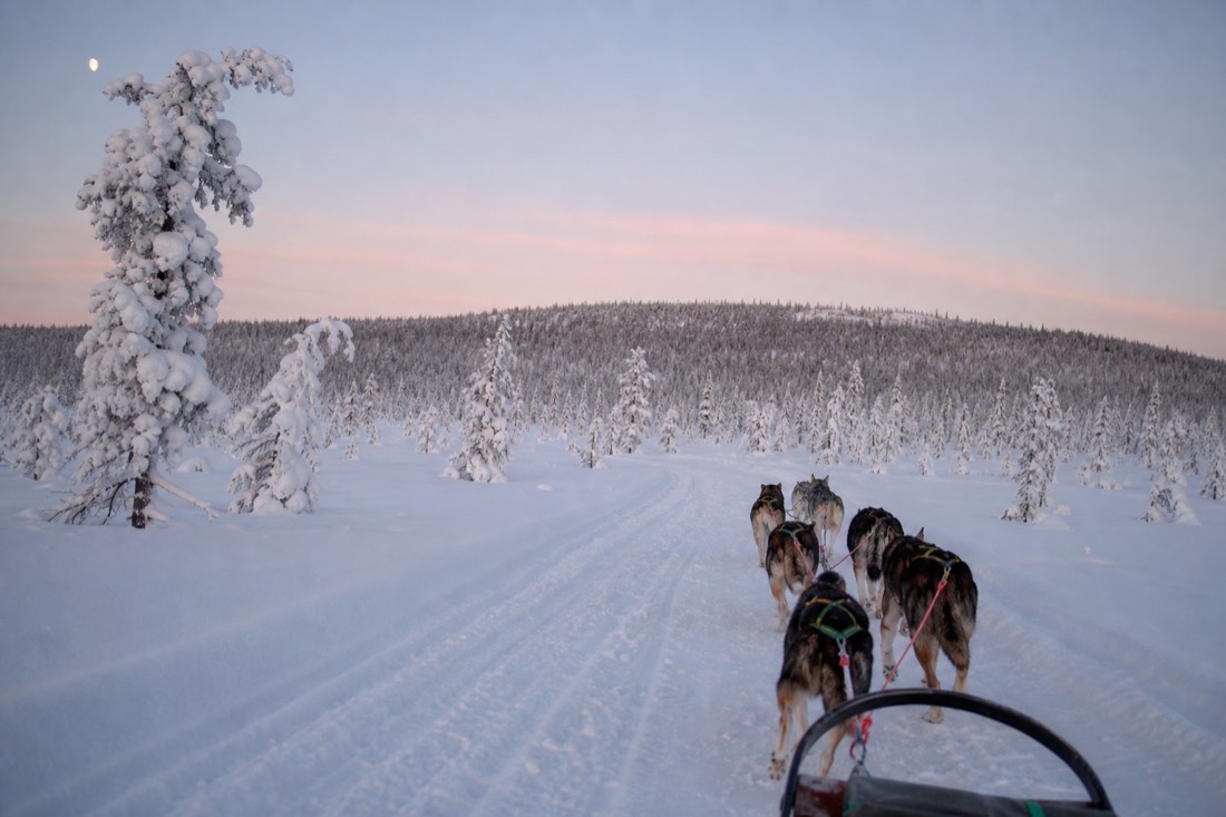 Snow-covered Finnish Lapland landscape in natural winter light