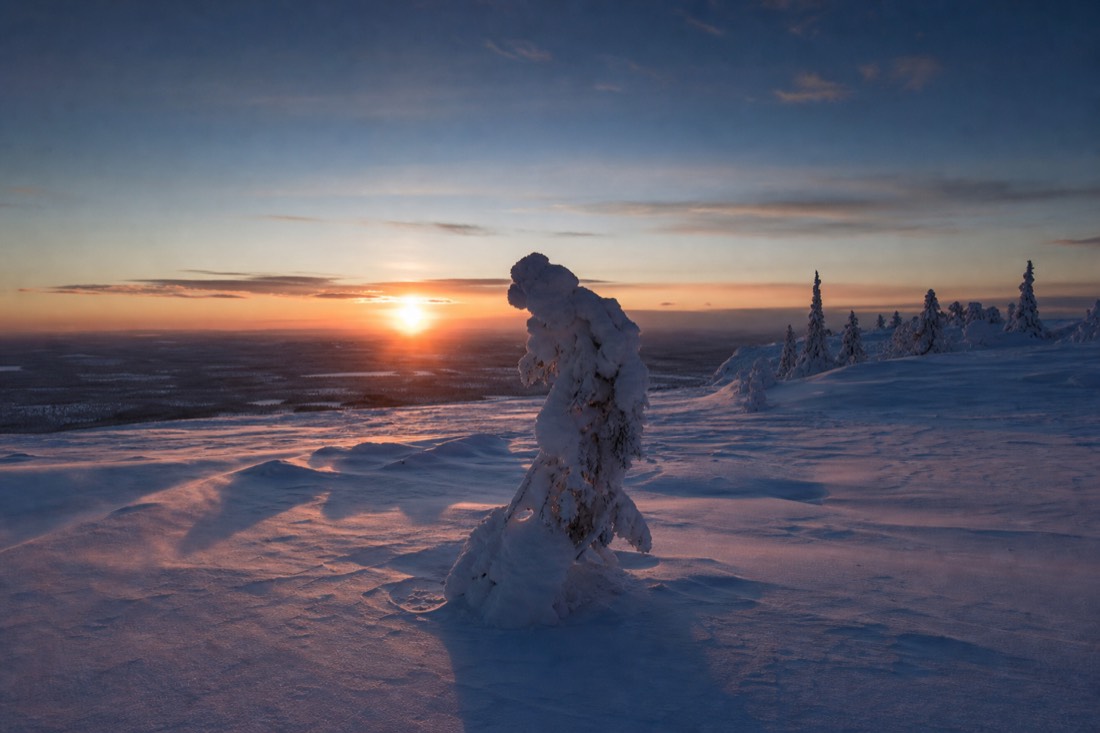 Snow-covered Finnish Lapland landscape in natural winter light