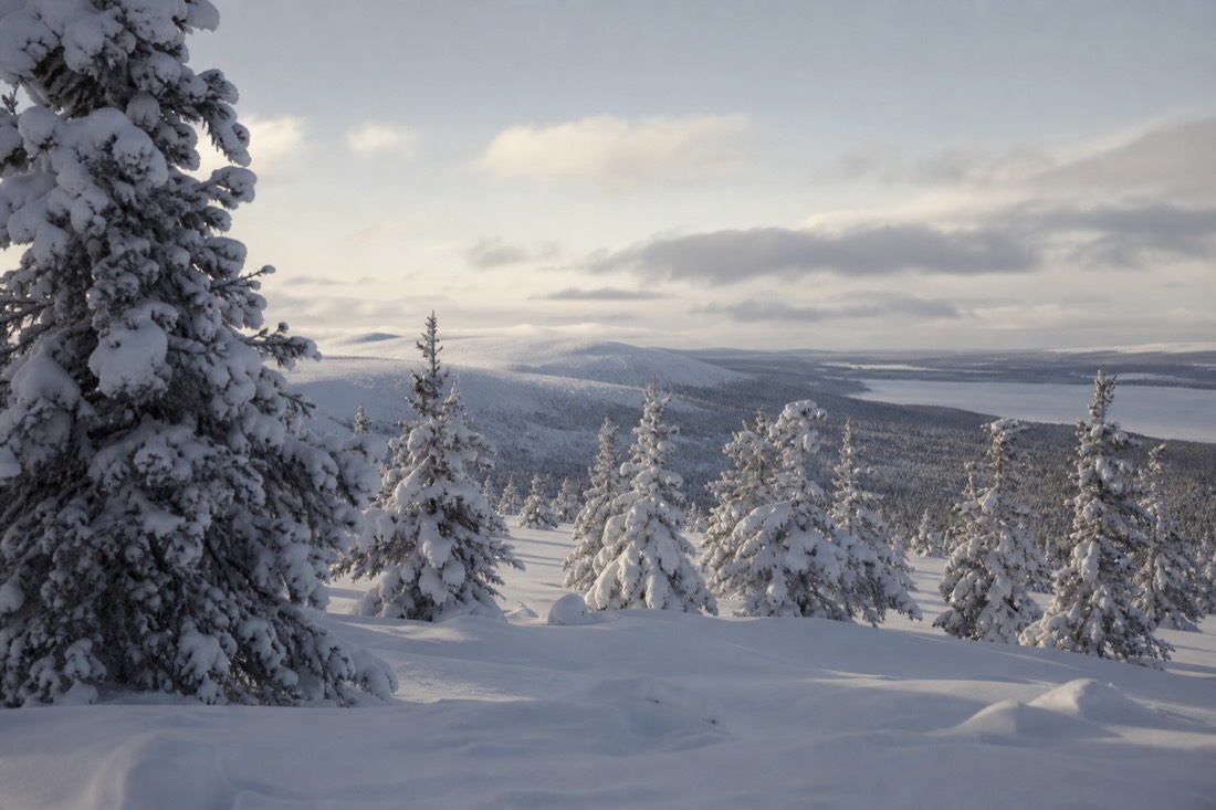 Paesaggio invernale della Lapponia finlandese coperto di neve sotto la luce naturale