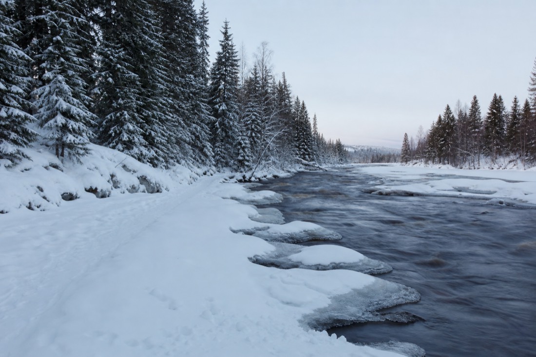 Snow-covered Finnish Lapland landscape in natural winter light