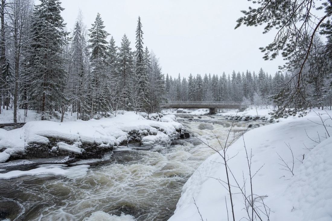 Snow-covered Finnish Lapland landscape in natural winter light