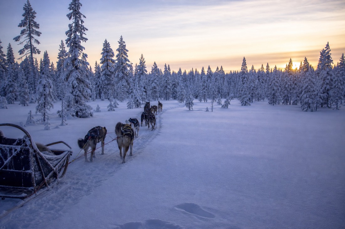Snow-covered Finnish Lapland landscape in natural winter light
