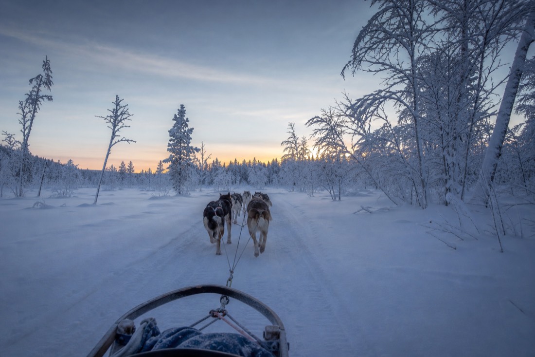 Snow-covered Finnish Lapland landscape in natural winter light