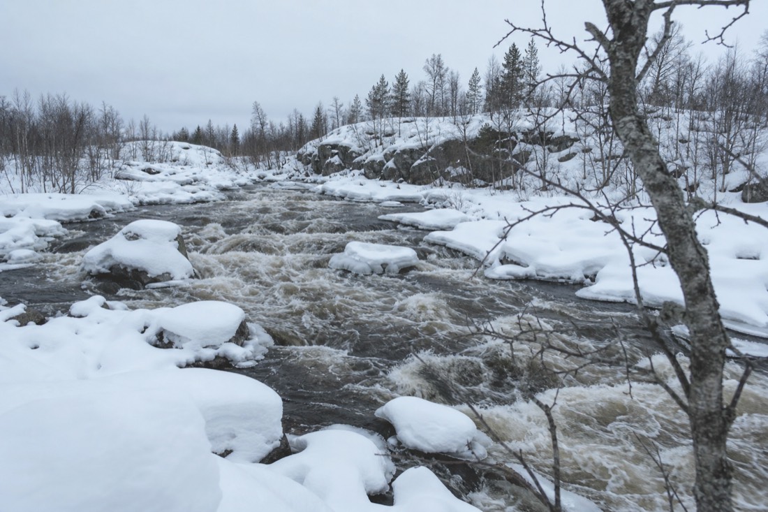 Snow-covered Finnish Lapland landscape in natural winter light