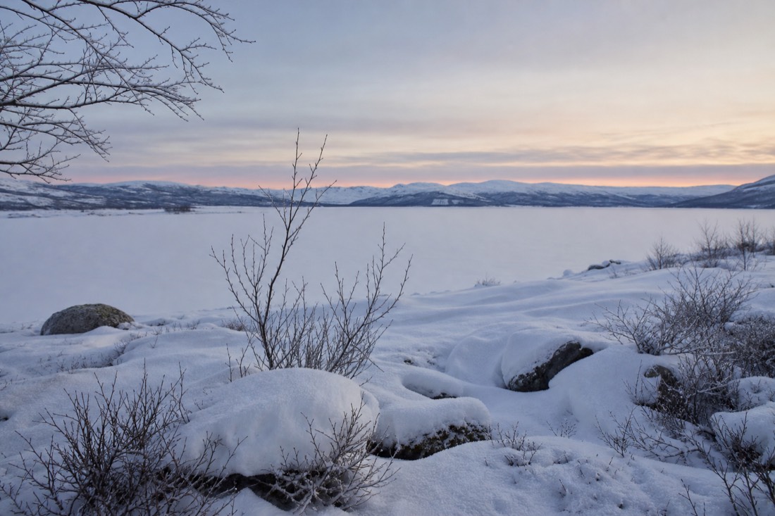 Snow-covered Finnish Lapland landscape in natural winter light