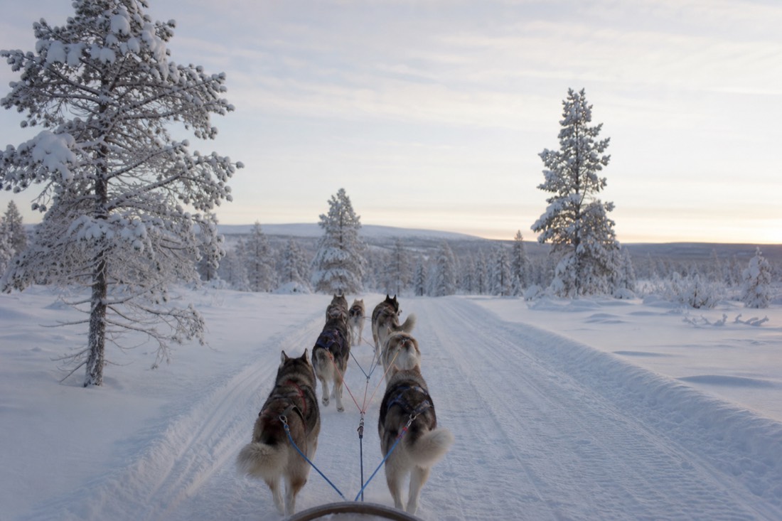 Snow-covered Finnish Lapland landscape in natural winter light