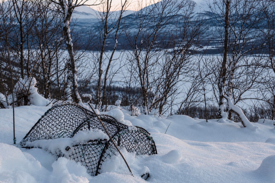 Snow-covered Finnish Lapland landscape in natural winter light
