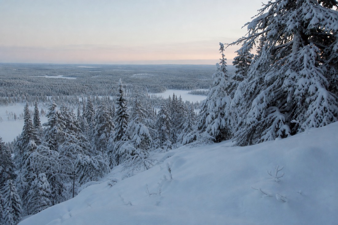 Snow-covered Finnish Lapland landscape in natural winter light