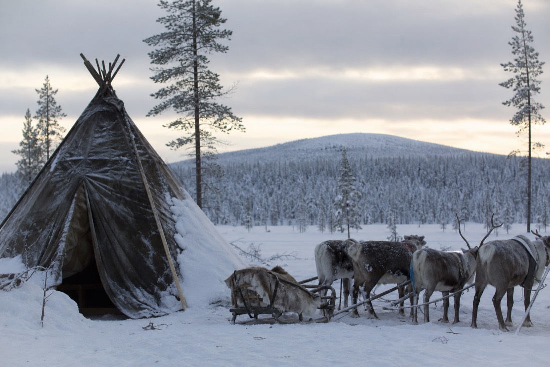 Snow-covered Finnish Lapland landscape in natural winter light