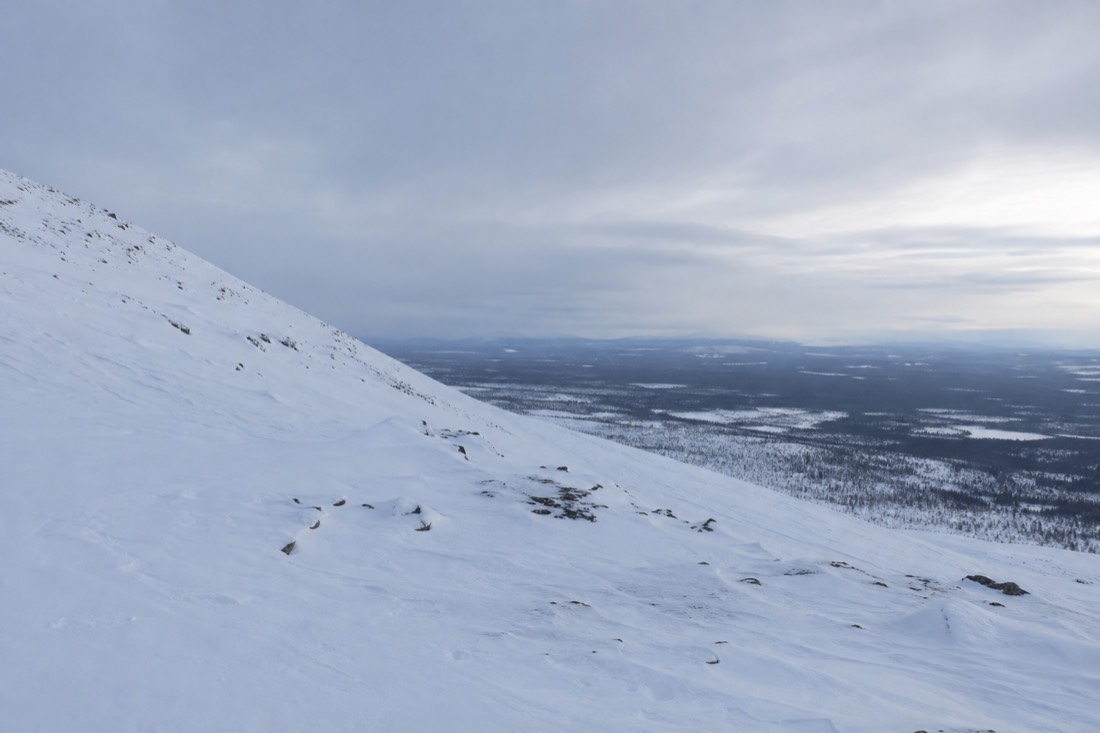 Snow-covered Finnish Lapland landscape in natural winter light