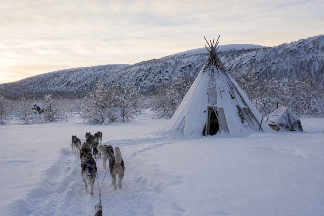 Snow-covered Finnish Lapland landscape in natural winter light