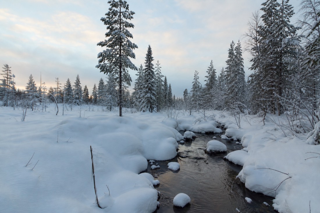 Snow-covered Finnish Lapland landscape in natural winter light