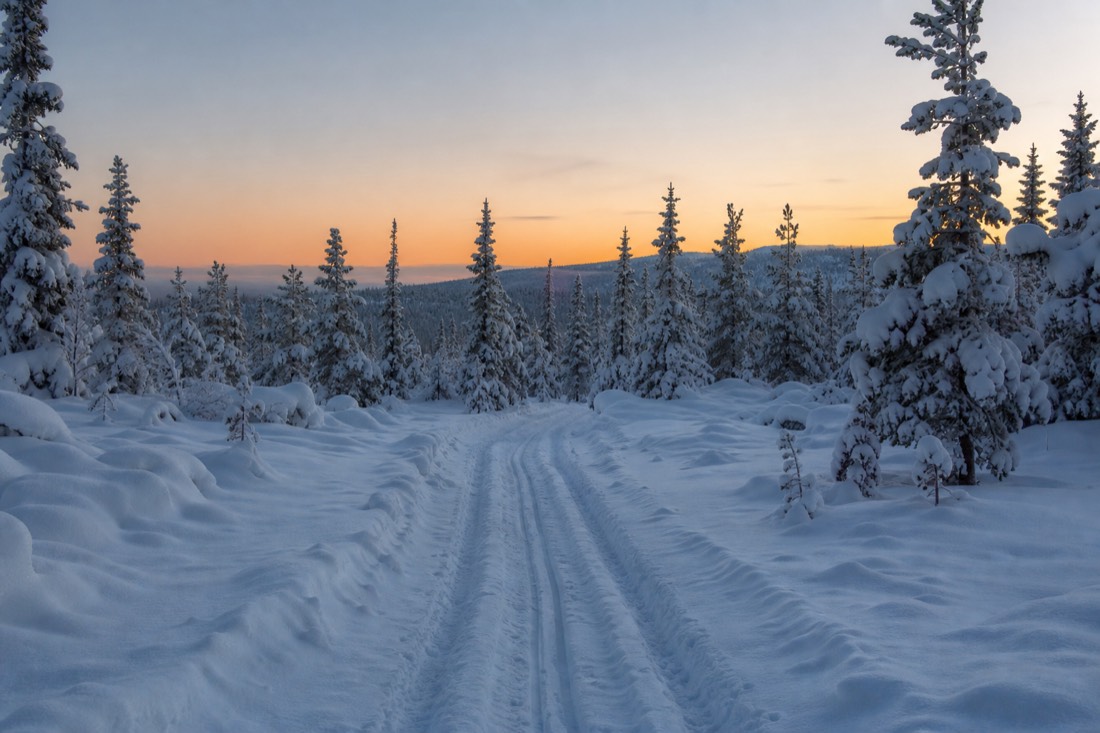 Un camino despejado entre la nieve profunda que se adentra en el bosque laponés al amanecer