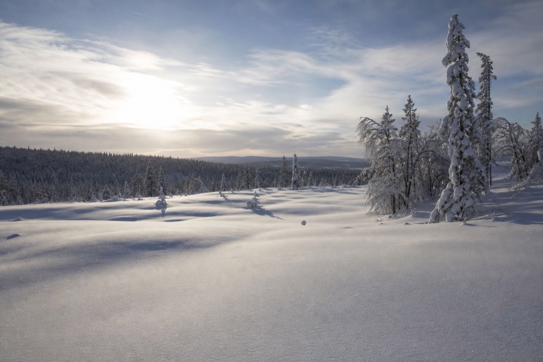 Snow-covered Finnish Lapland landscape in natural winter light