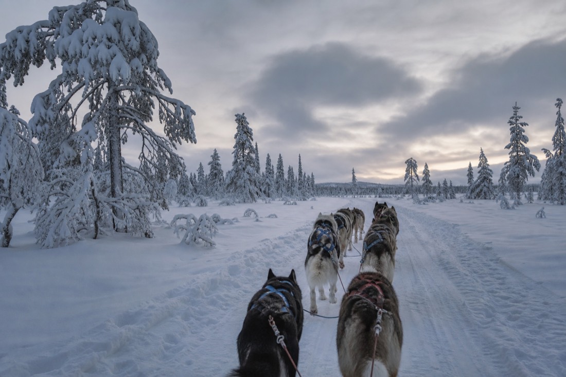 Snow-covered Finnish Lapland landscape in natural winter light