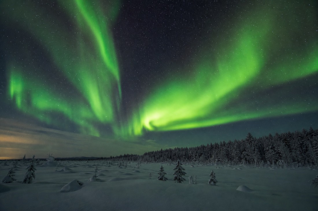 A radiant green aurora borealis dancing over a pristine snowy Lapland wilderness, untouched snow fields, distant forest line